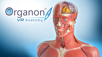 3D Organon